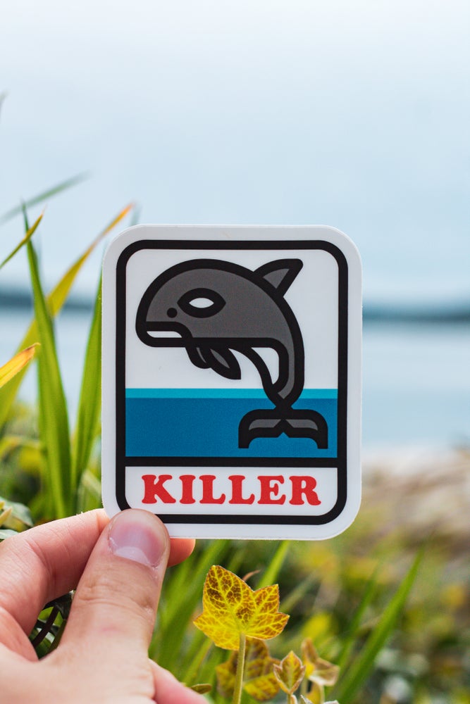 pnw sticker, killer whale sticker